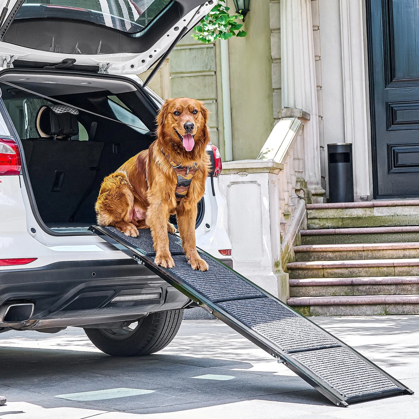 Car Folding Dog Ramp For Large Dogs And Easy Access
