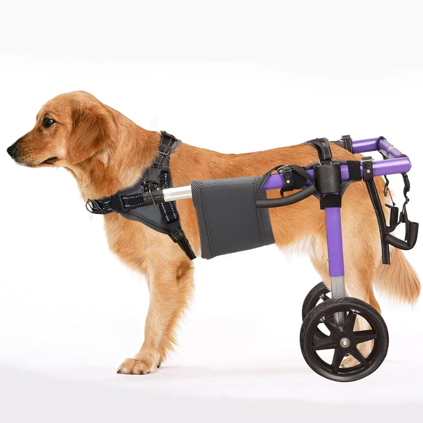 Dog Wheelchair for Back Legs Lightweight Aluminum Alloy Large Dogs