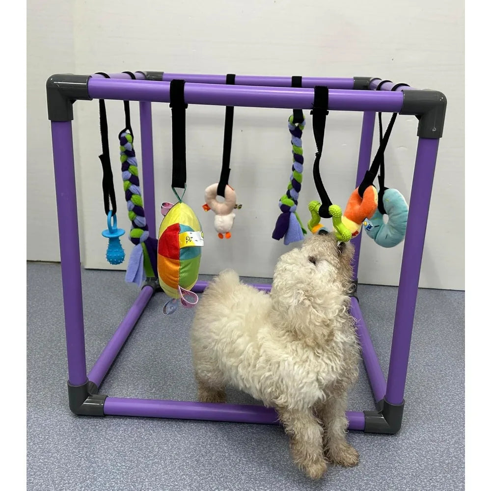 Puppy Play Gym For Small Dogs With Eight Hanging Toys