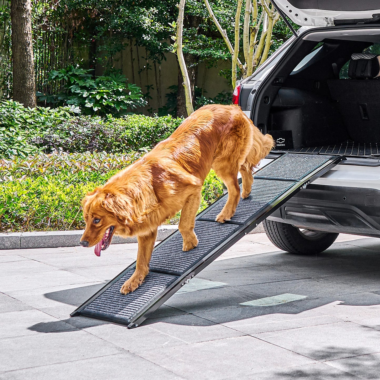 Car Folding Dog Ramp For Large Dogs And Easy Access