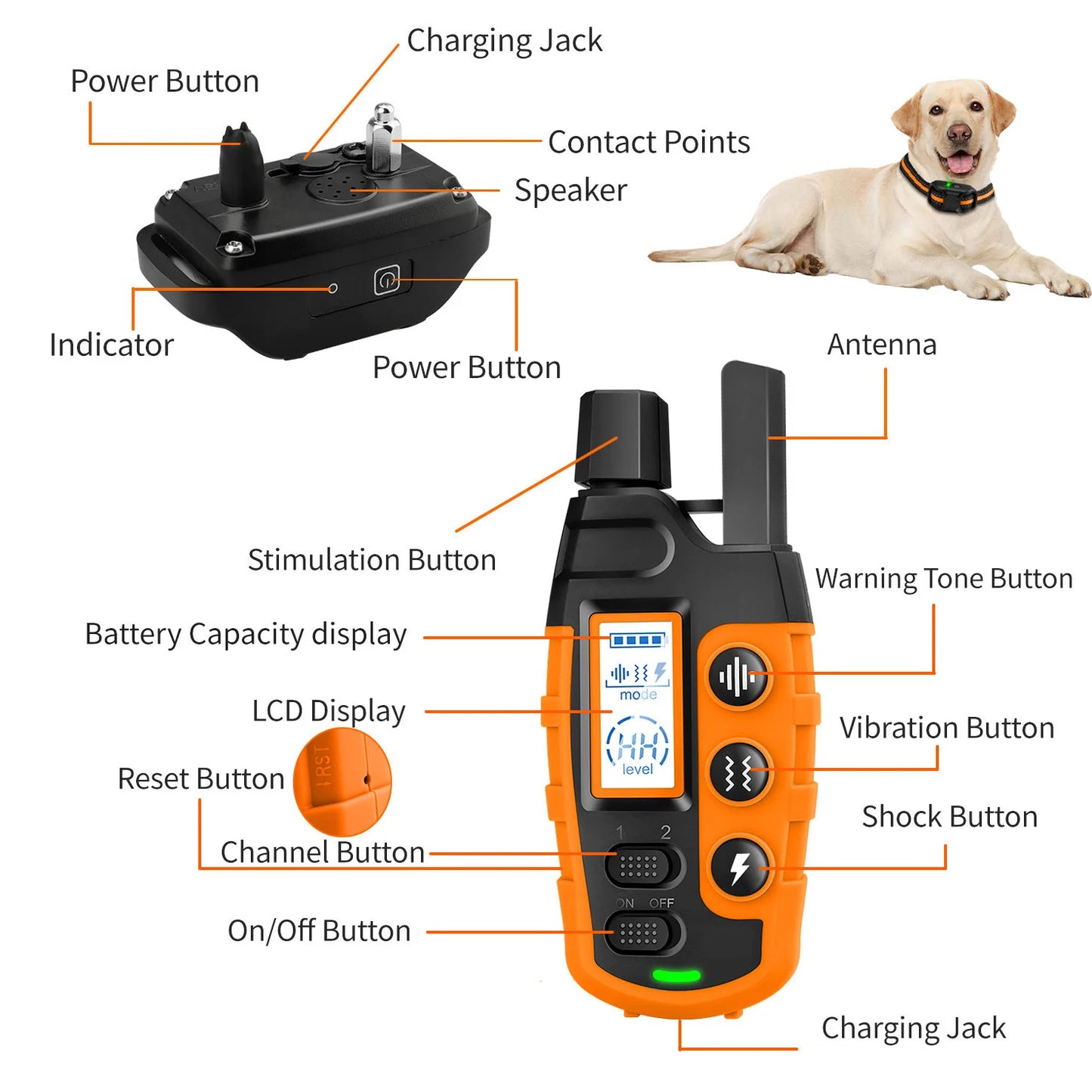 Electric Dog Training Collar Waterproof Remote Control Vibration Shock