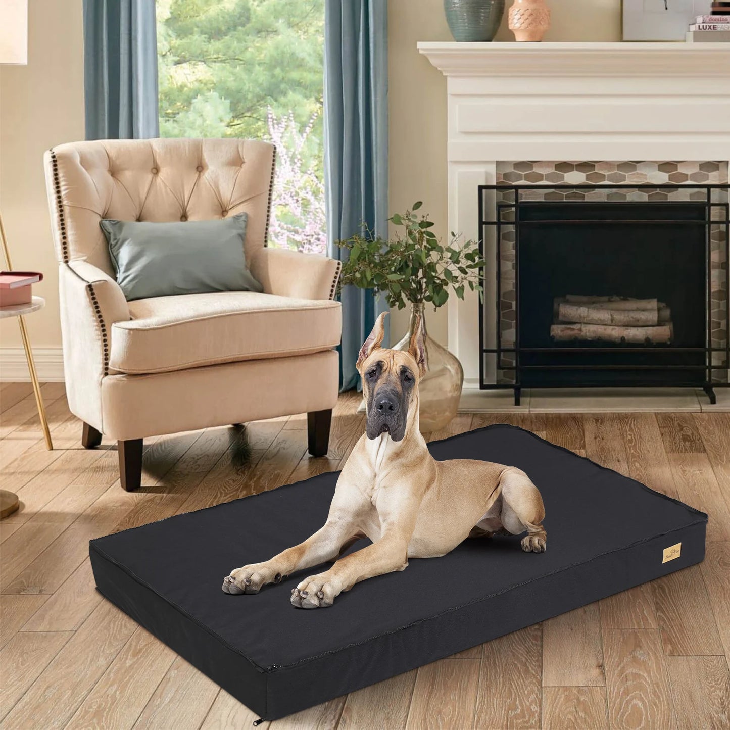 BINGOPAWCN Washable Orthopedic Dog Bed With Sponge Foam