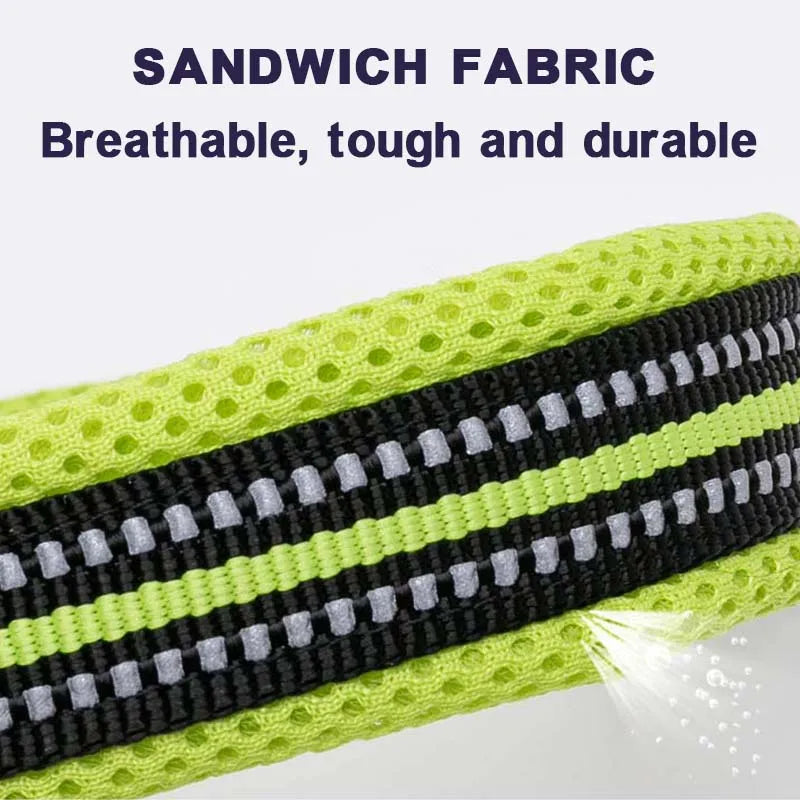 Winhyepet Padded Nylon Dog Walking Collar With Buckle