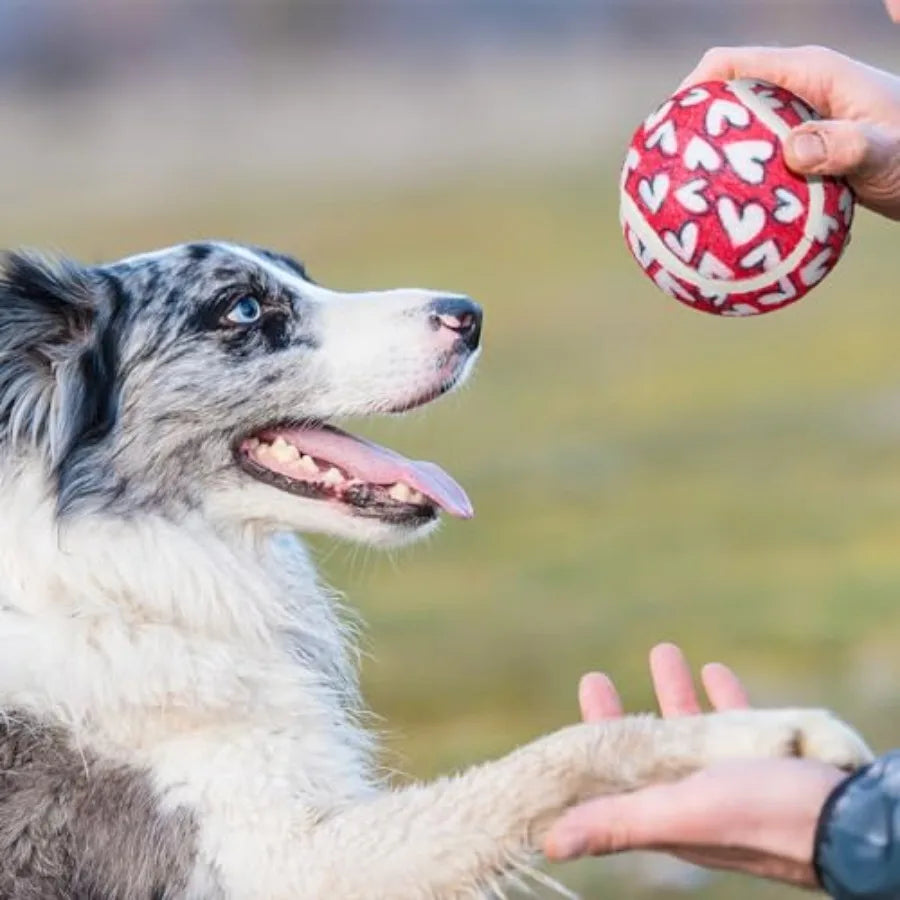 Heart Design Dog Tennis Balls Chew Toys For Dogs Durable