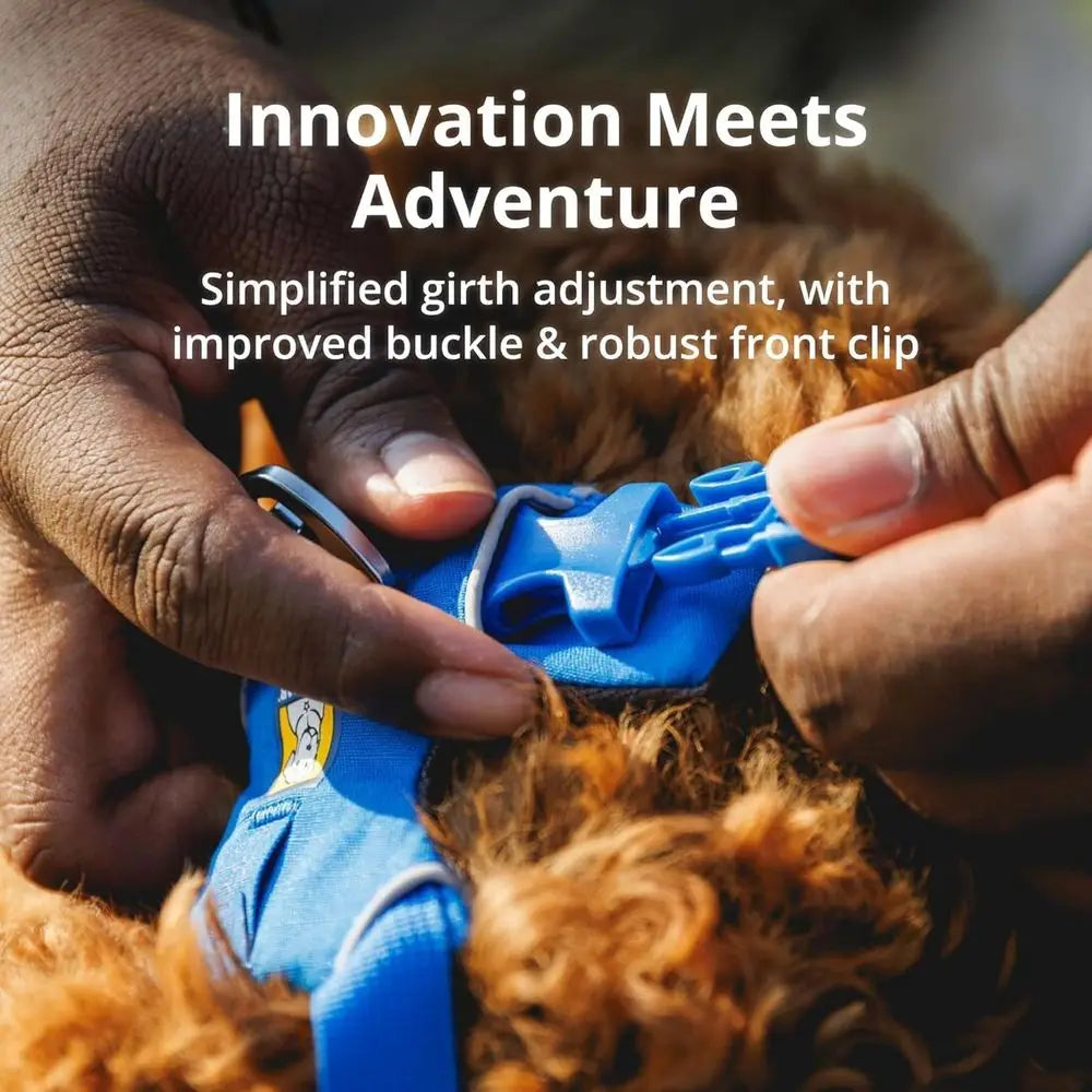 Reflective Padded Dog Harness With Dual Clip Adjustable