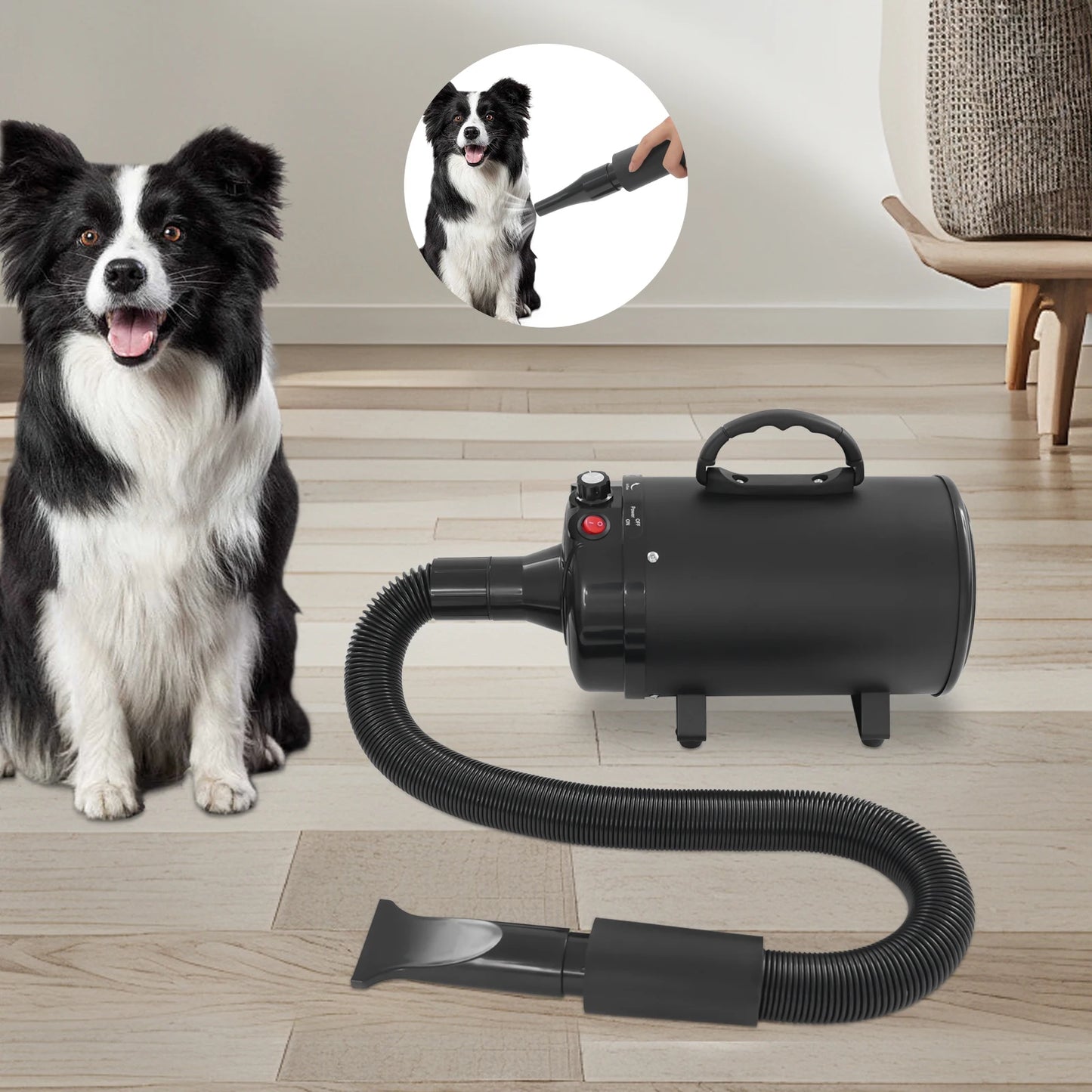 Professional Pet Grooming Dryer With Adjustable Wind Speed And Nozzles