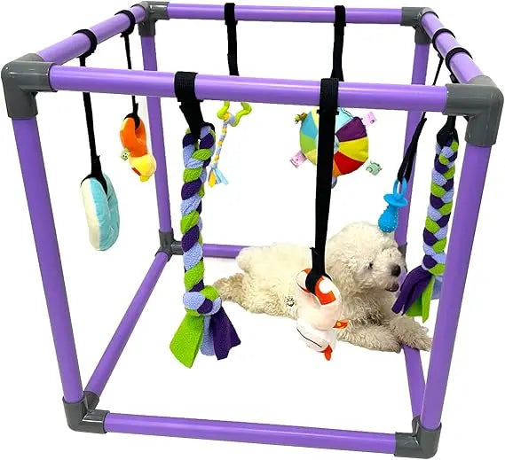 Puppy Play Gym For Small Dogs With Eight Hanging Toys