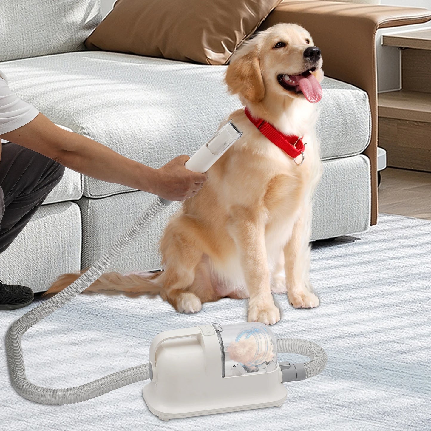 Pet Hair Grooming Tool Set With 11800Pa Suction Three In One