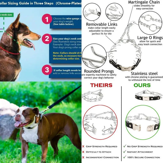 Adjustable Prong Dog Collar With Quick Release Buckle Stainless Steel