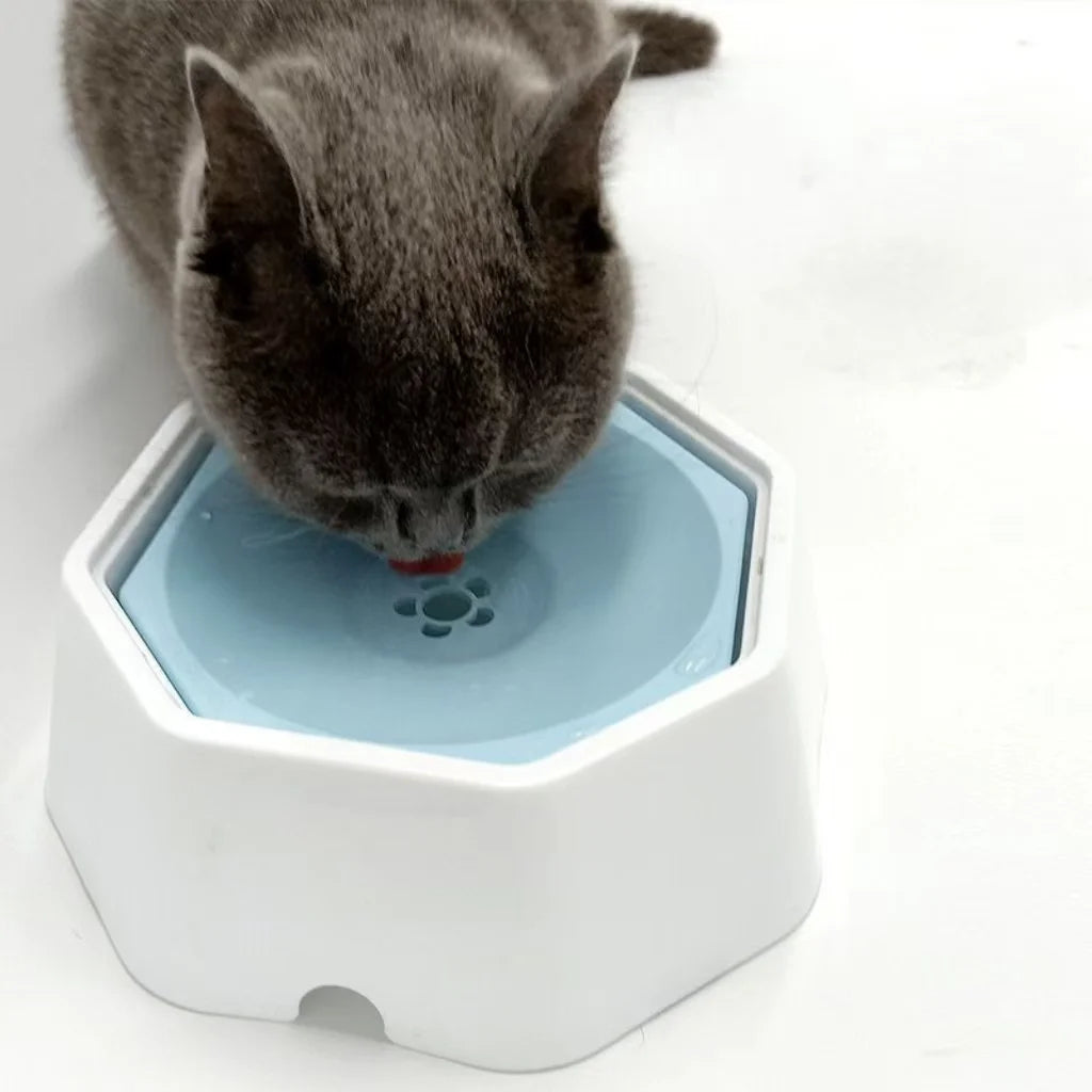 Spill Proof Pet Water Bowl With Floating Design And Durable Plastic