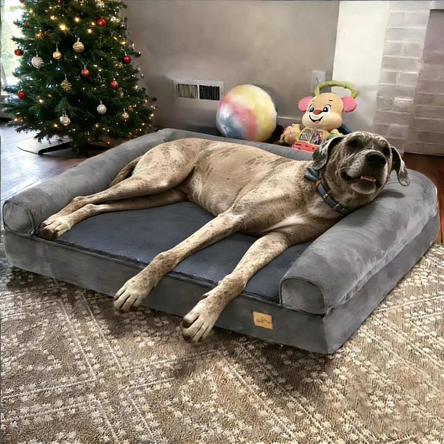 BORWARTCN Calming Dog Bed With Orthopedic Memory Foam Removable Cover