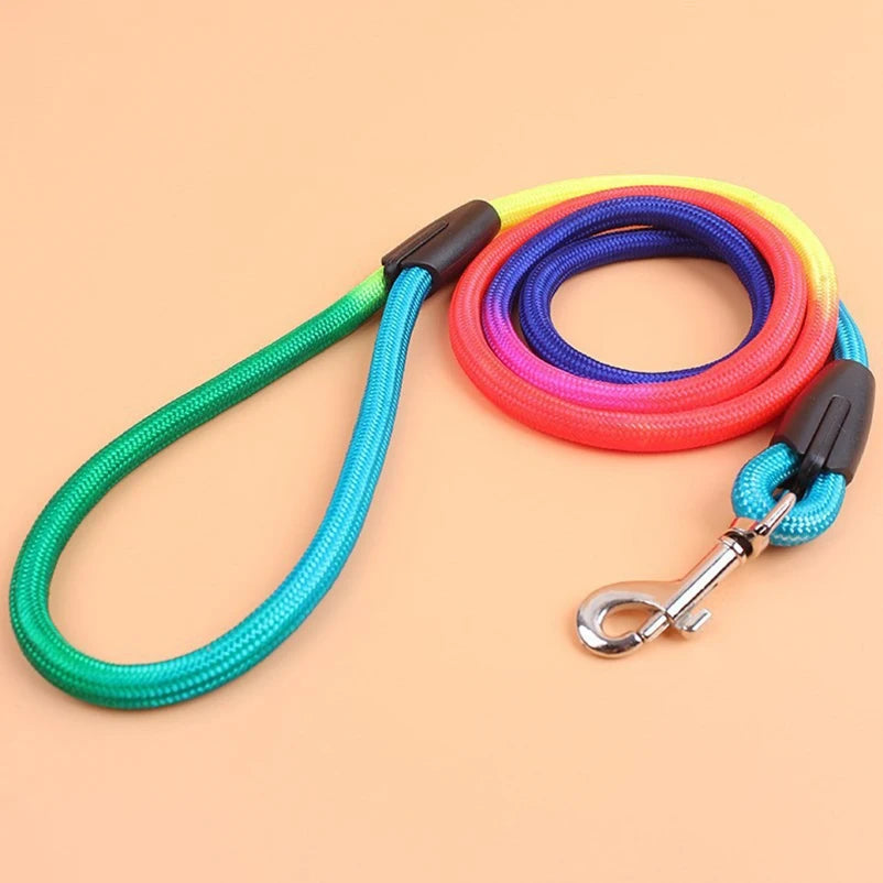 Nylon Round Lead Rope 1.2m For Puppies And Everyday Walks