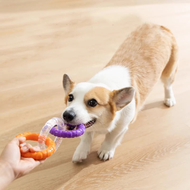 Dog Chew Toy TPR Interactive Tug for All Dogs Durable