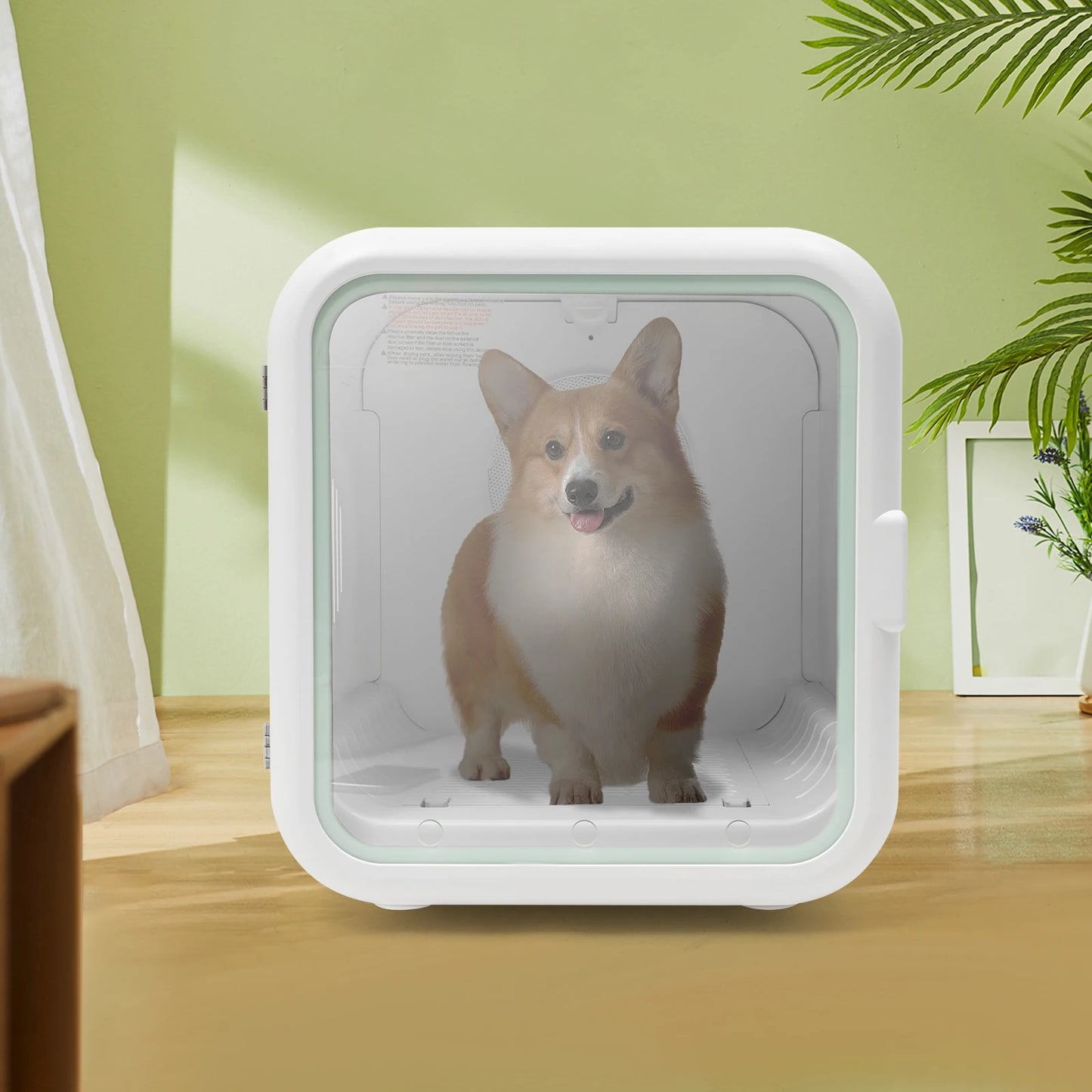 Portable Cat and Dog Dryer Box 110V 800W Temperature Adjustable