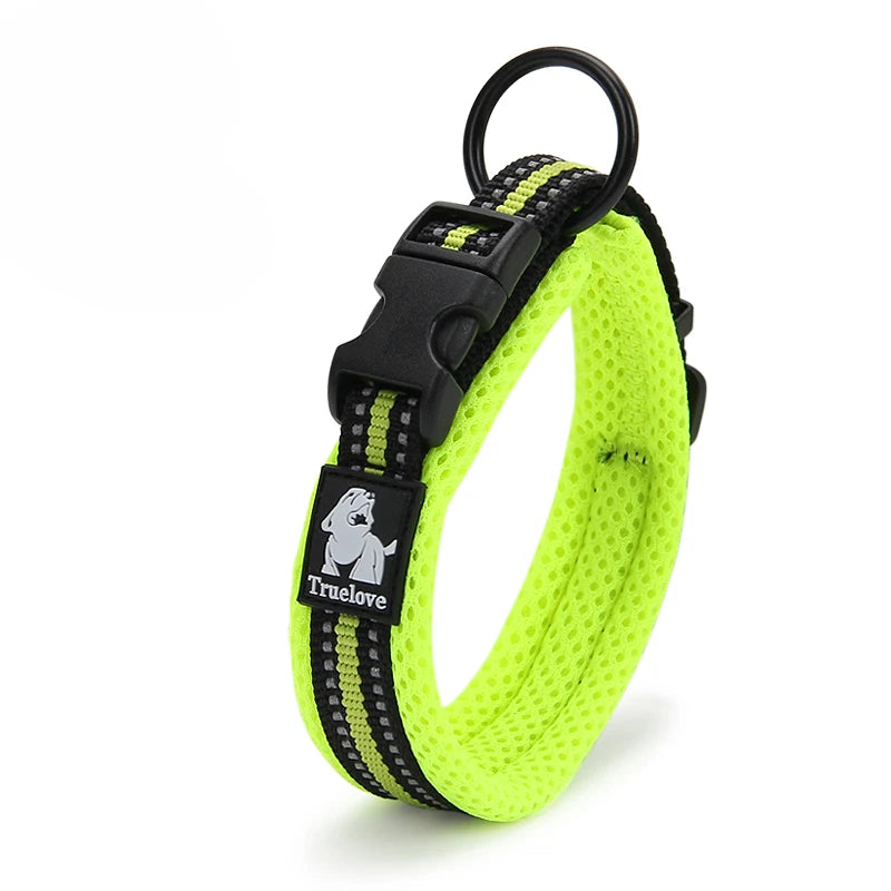 Winhyepet Padded Nylon Dog Walking Collar With Buckle