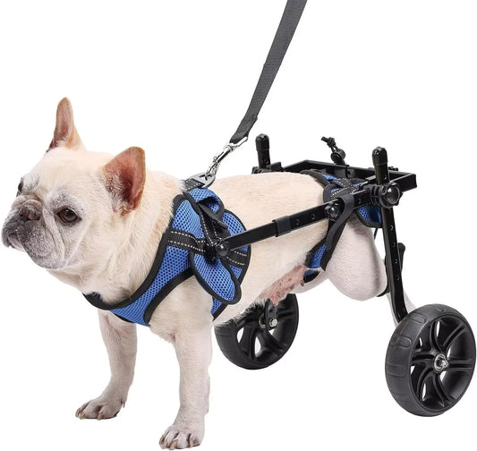 Dog Wheelchair For Back Legs With All Terrain Tires