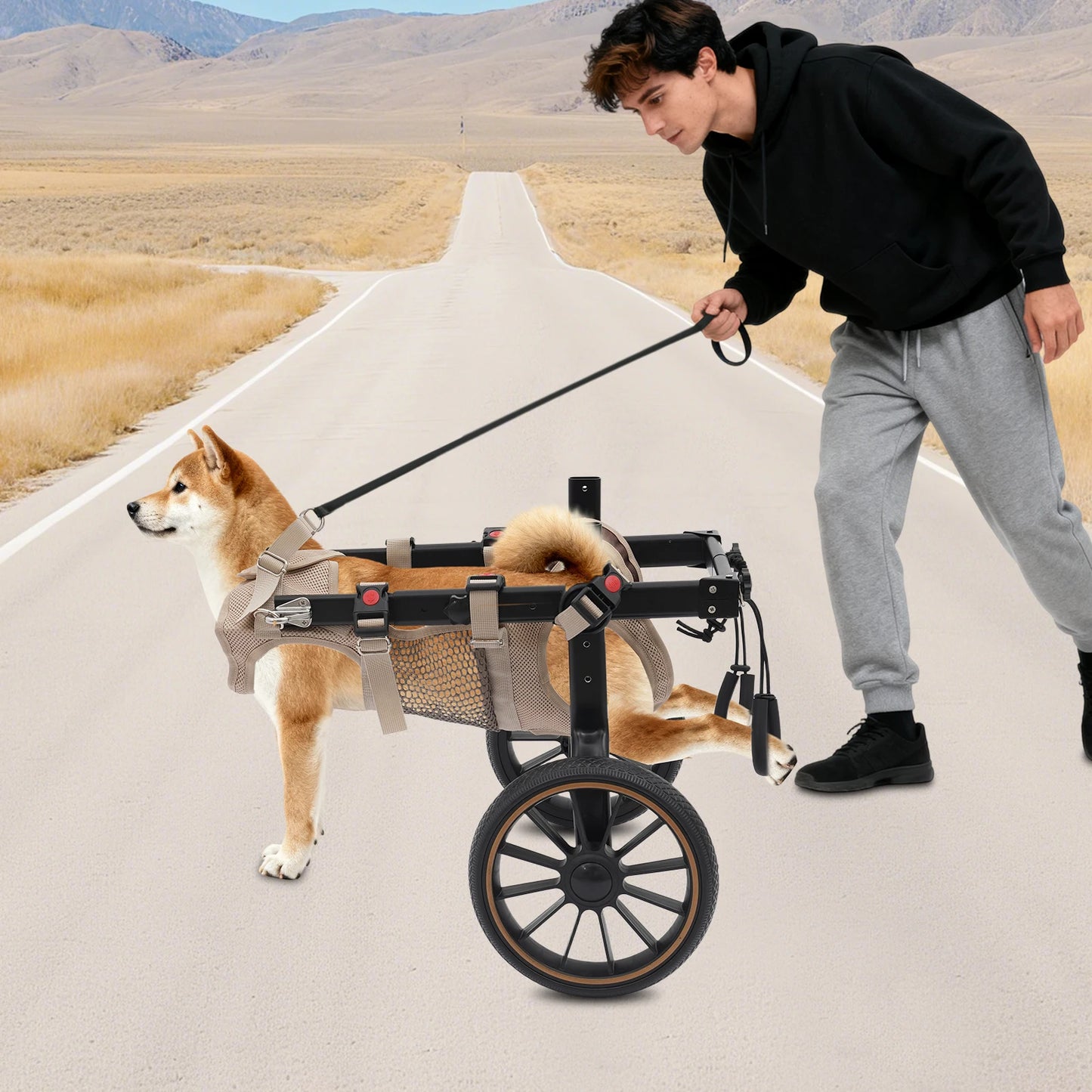 Bymaocar Adjustable Pet Trolley Dog Wheelchair Rehabilitation Aid