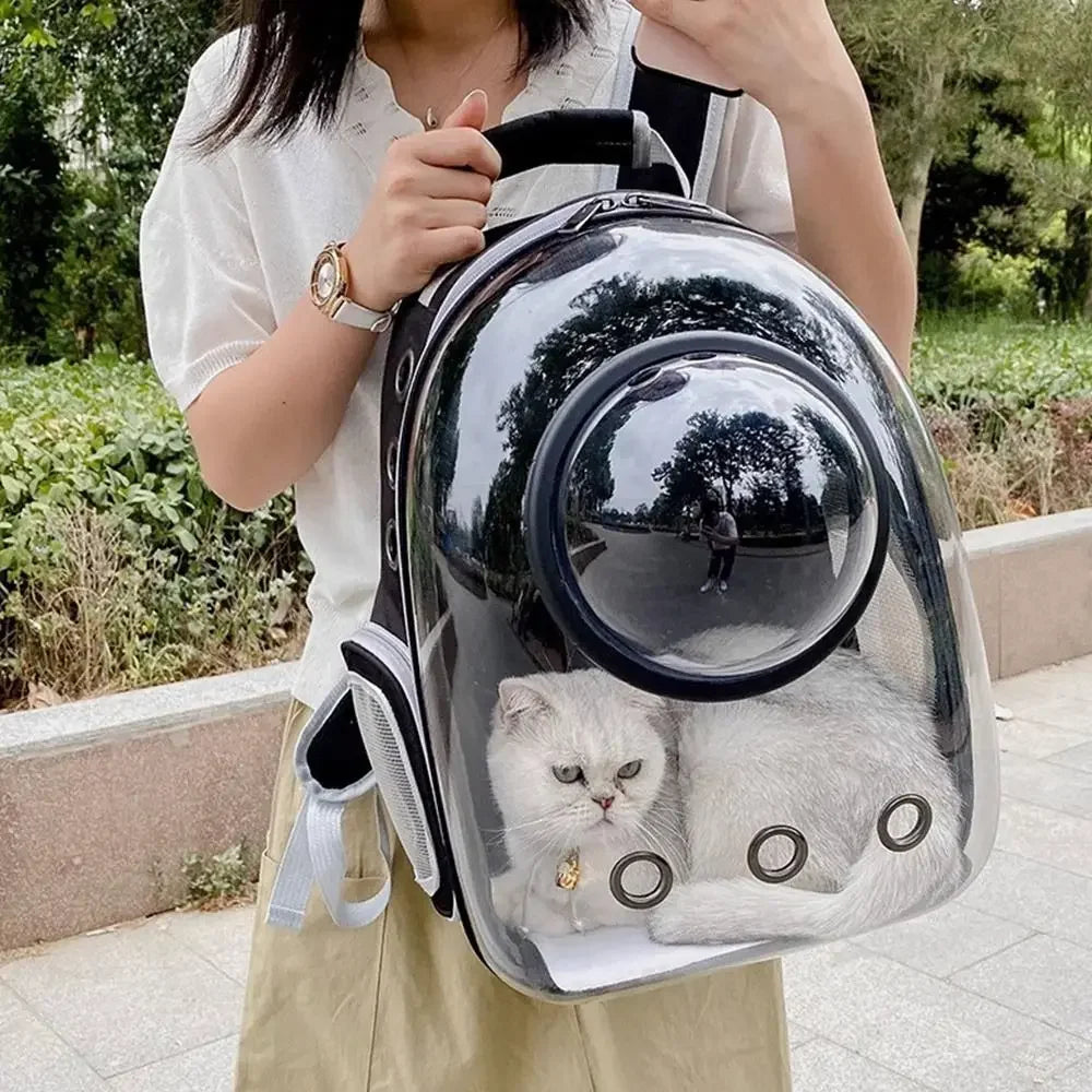 Transparent Dome Cat Carrier Backpack For Vet Visits