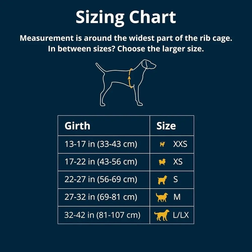 Reflective Padded Dog Harness With Dual Clips For Everyday Use