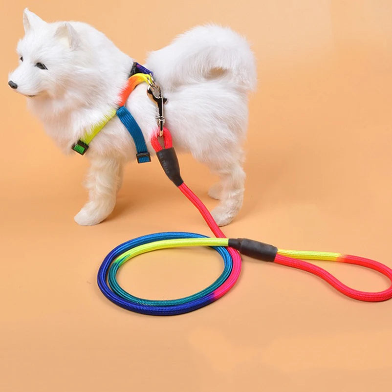Nylon Round Lead Rope 1.2m For Puppies And Everyday Walks