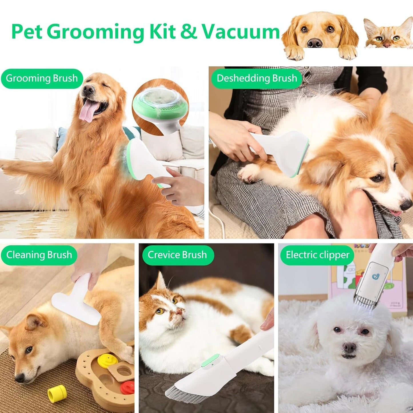 HiMISS Pet Grooming Vacuum Kit Professional Quiet With 5 Tools