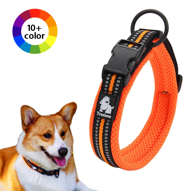 Winhyepet Padded Nylon Dog Walking Collar With Buckle