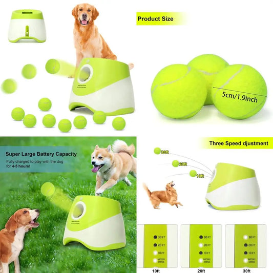 Automatic Dog Ball Launcher For Small Dogs With 9 Balls