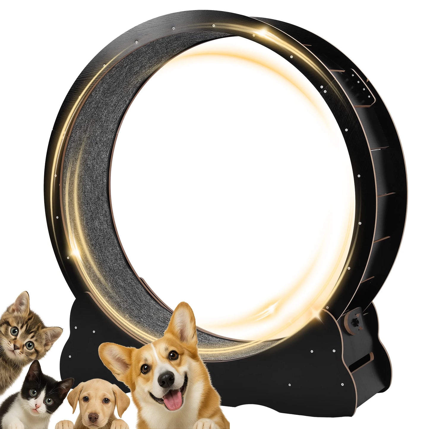 Cat Exercise Running Wheel Treadmill for Indoor Cats