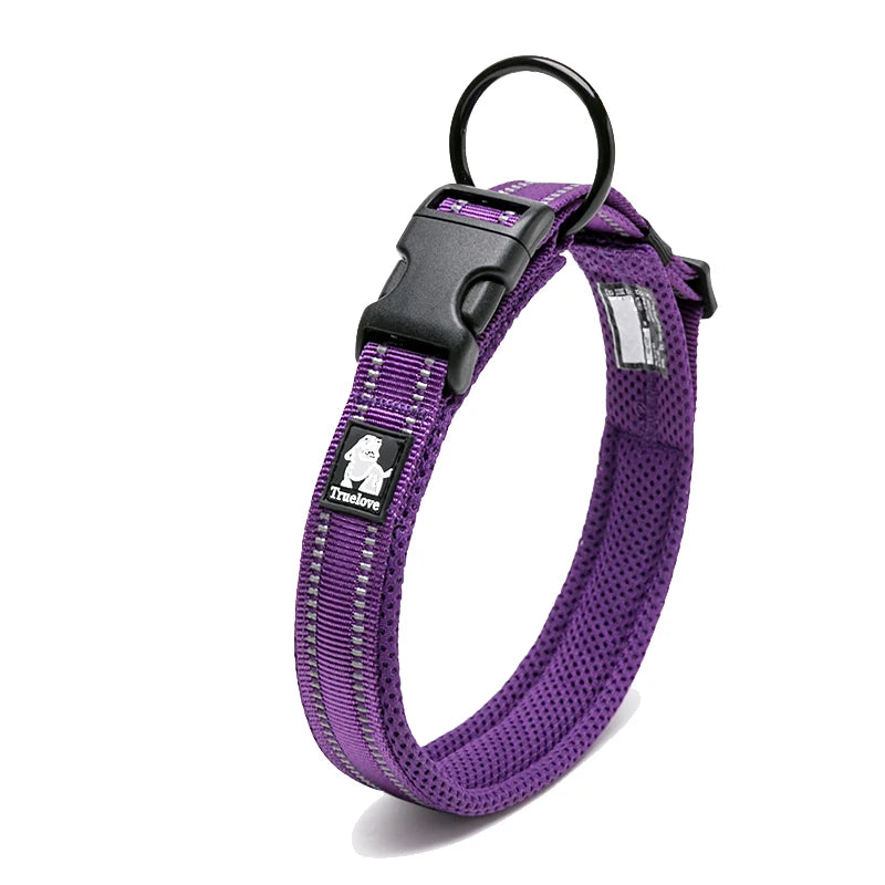 Winhyepet Padded Nylon Dog Walking Collar With Buckle