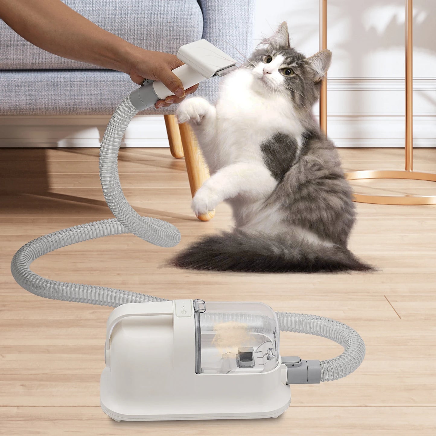 Pet Hair Grooming Tool Set With 11800Pa Suction Three In One