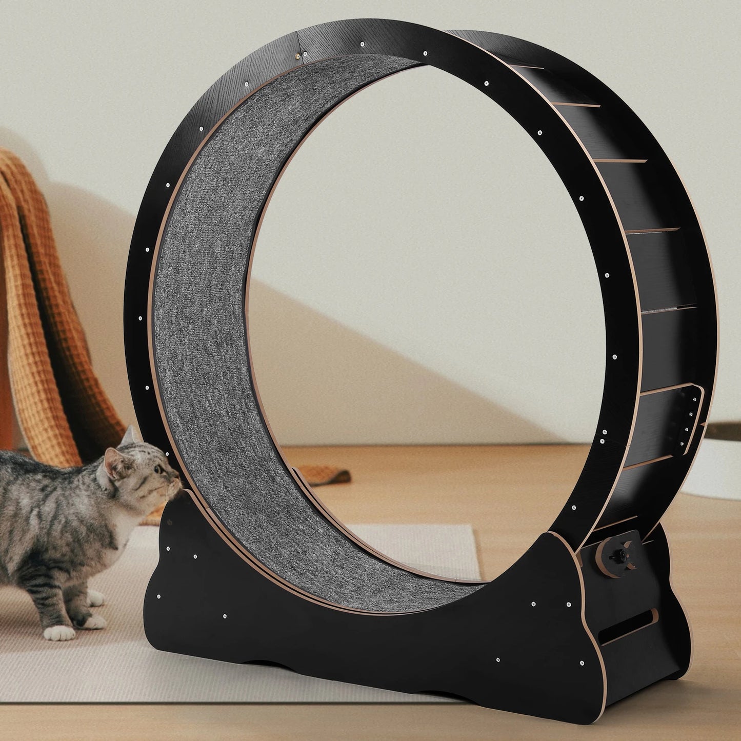 Cat Exercise Running Wheel Treadmill for Indoor Cats