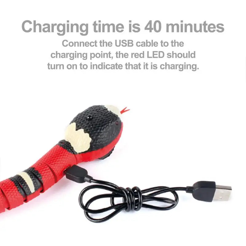 Smart Sensing Snake Interactive Cat Toy USB Charging