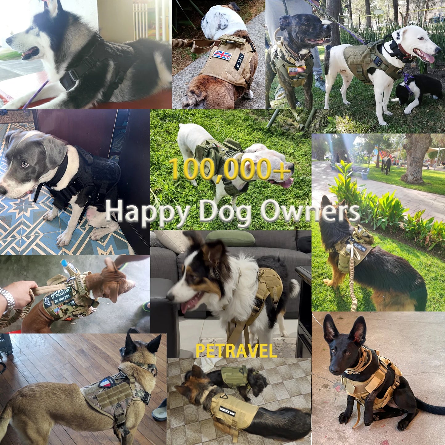 PETRAVELCN Tactical Dog Harness Molle Pouches For Training