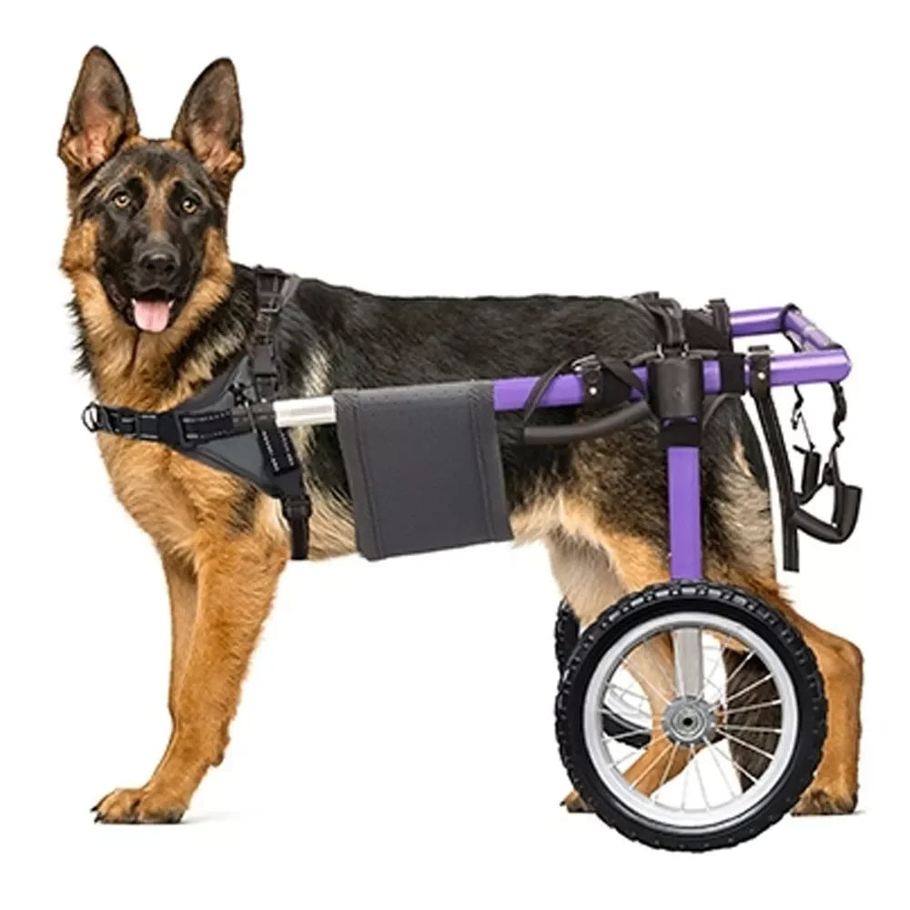 Dog Wheelchair for Back Legs Lightweight Aluminum Alloy Large Dogs