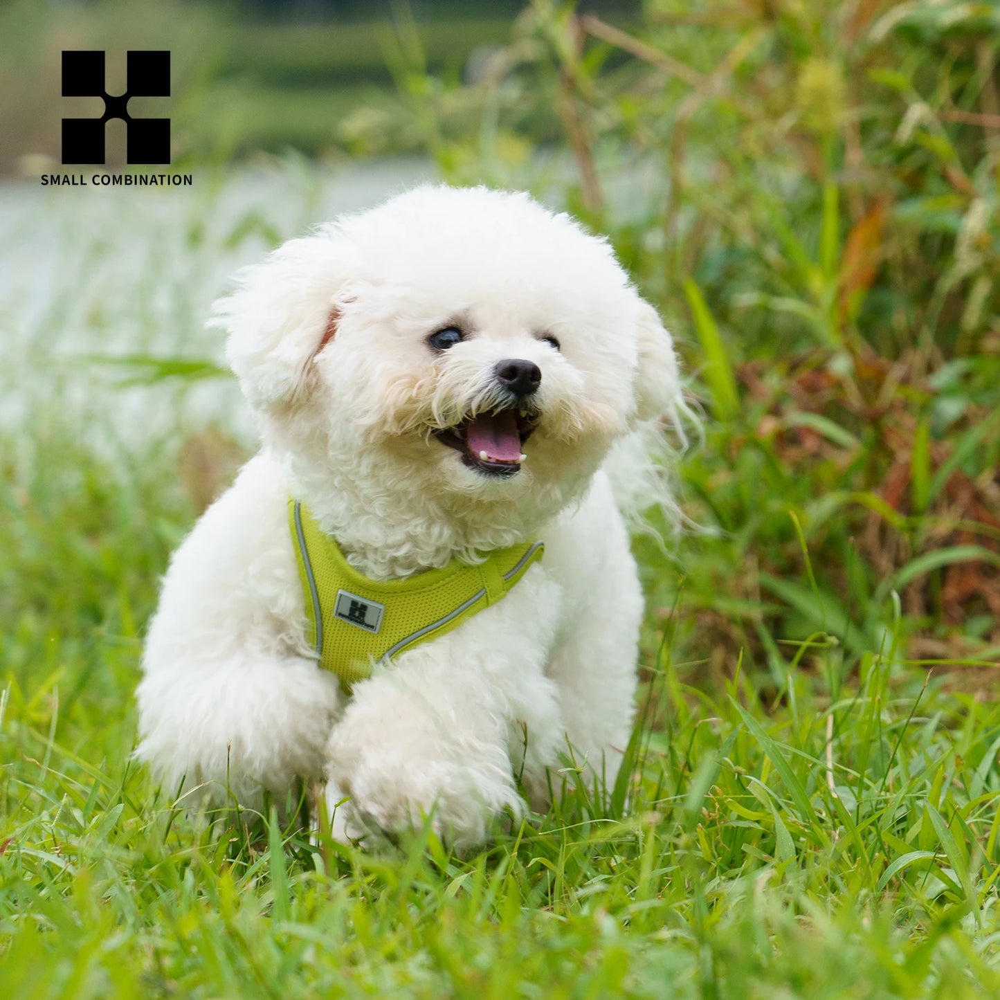 Small Combination Dog Harness Leash Set Reflective Adjustable