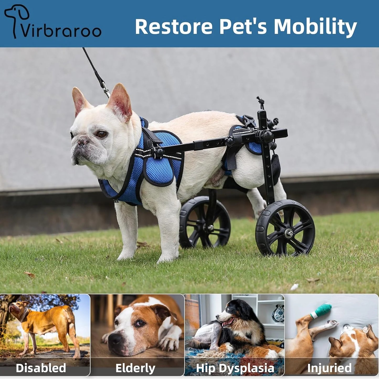 Dog Wheelchair For Back Legs With All Terrain Tires