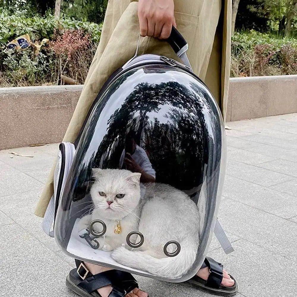 Transparent Dome Cat Carrier Backpack For Vet Visits