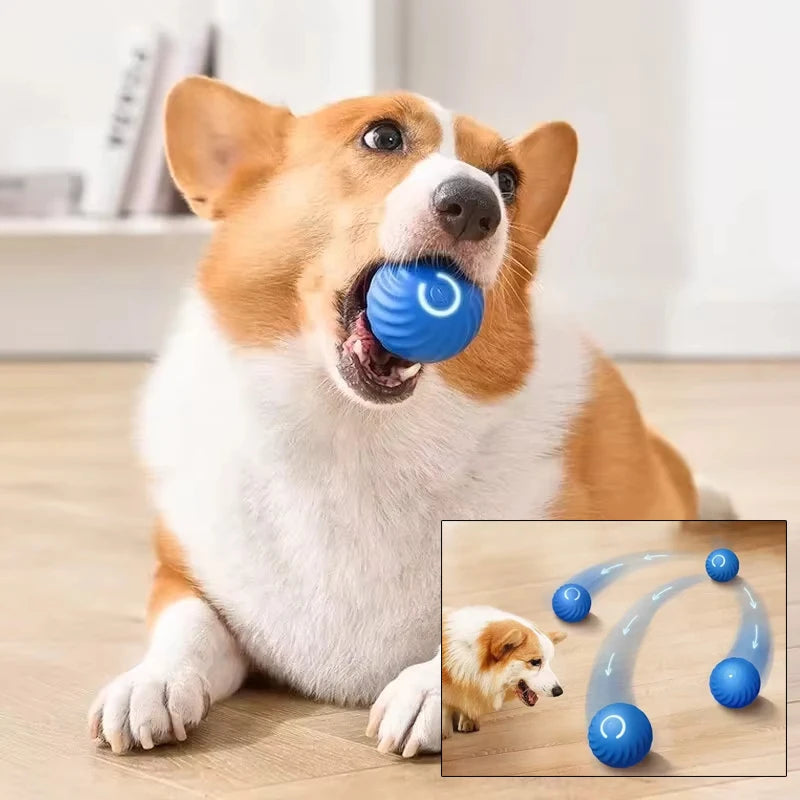 Automatic Moving USB Dog Ball Toy Jumping Rotating Interactive
