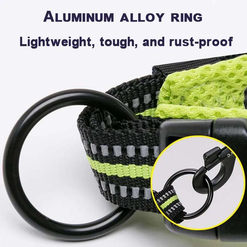 Winhyepet Padded Nylon Dog Walking Collar With Buckle