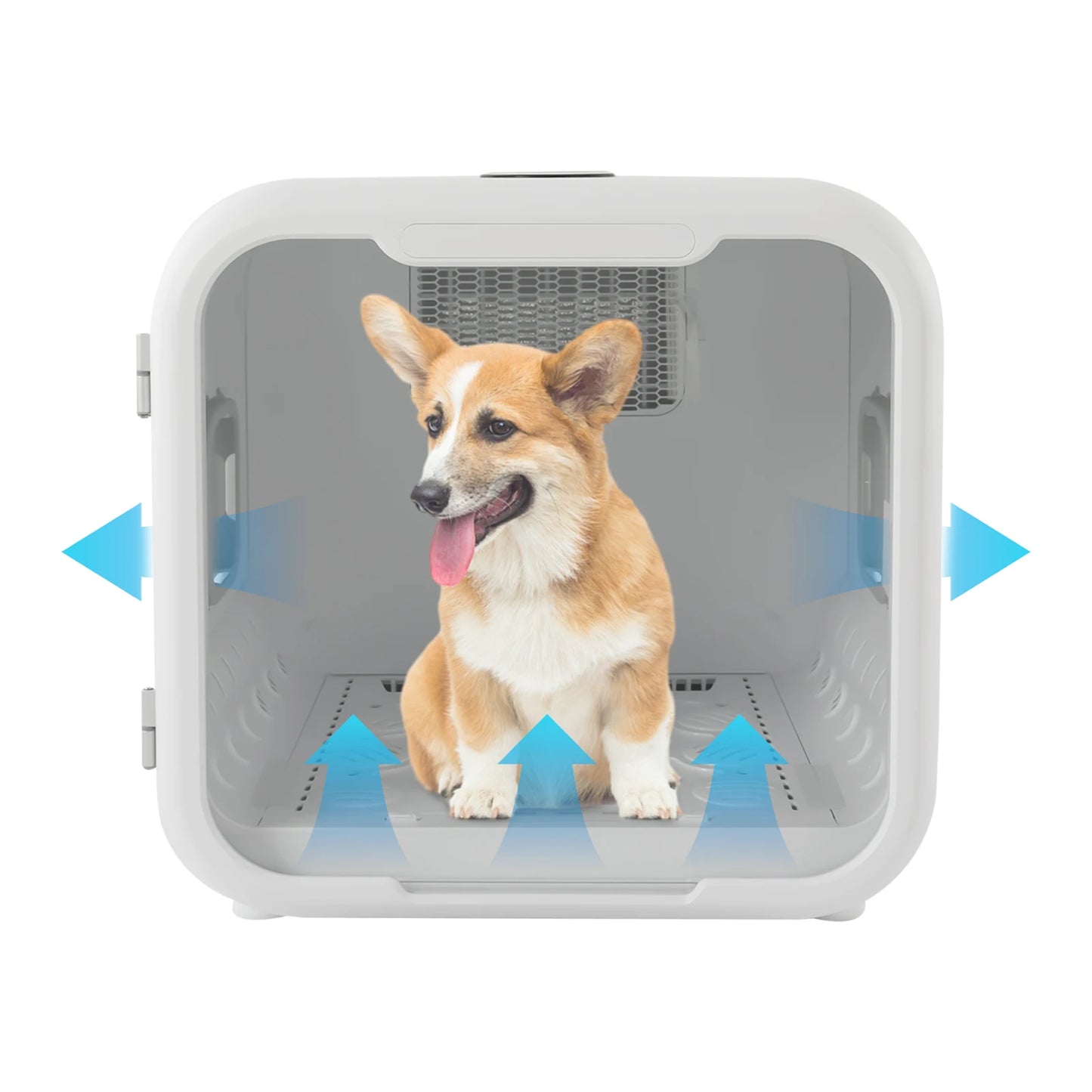 800W Pet Dryer Box For Grooming Cats And Sterilization