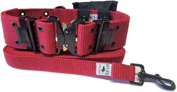Tactical Dog Collar With Cobra Buckle And Heavy Duty Leash