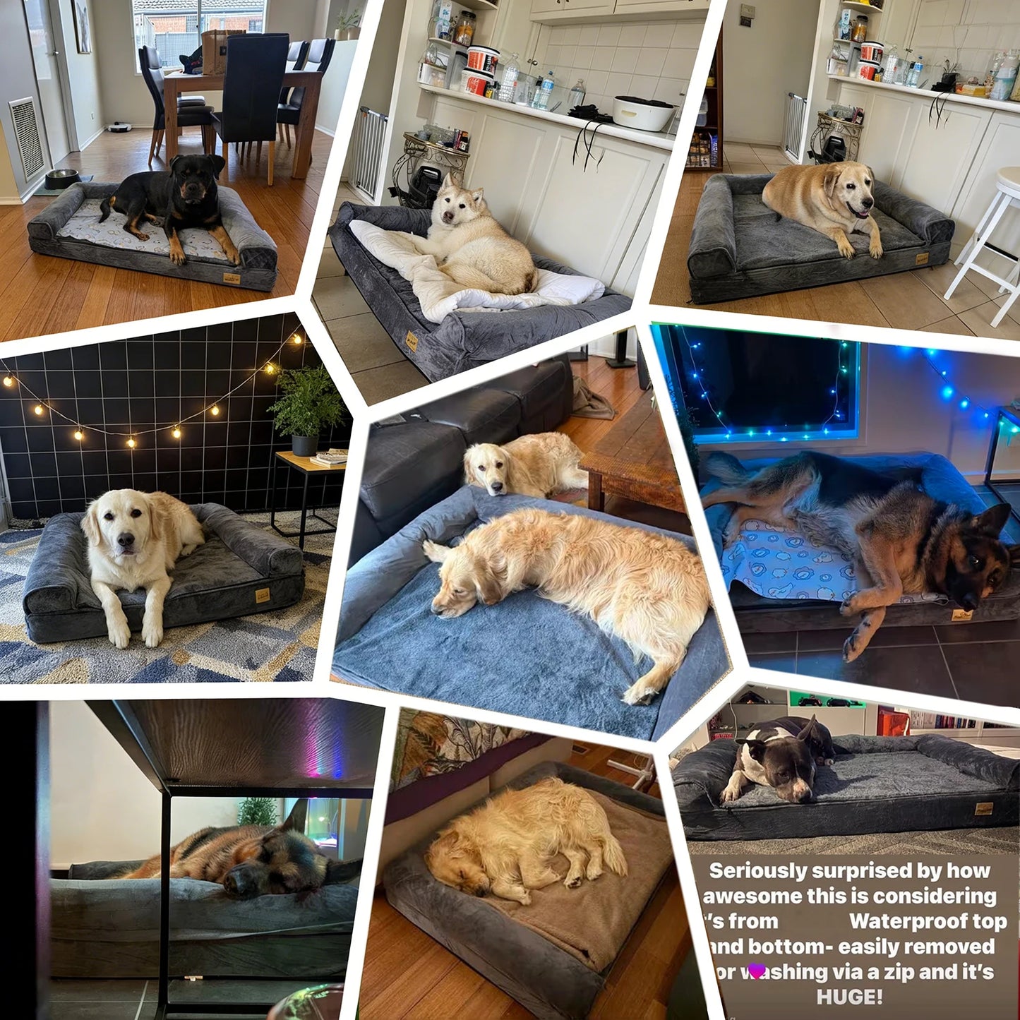 BORWARTCN Calming Dog Bed With Orthopedic Memory Foam Removable Cover