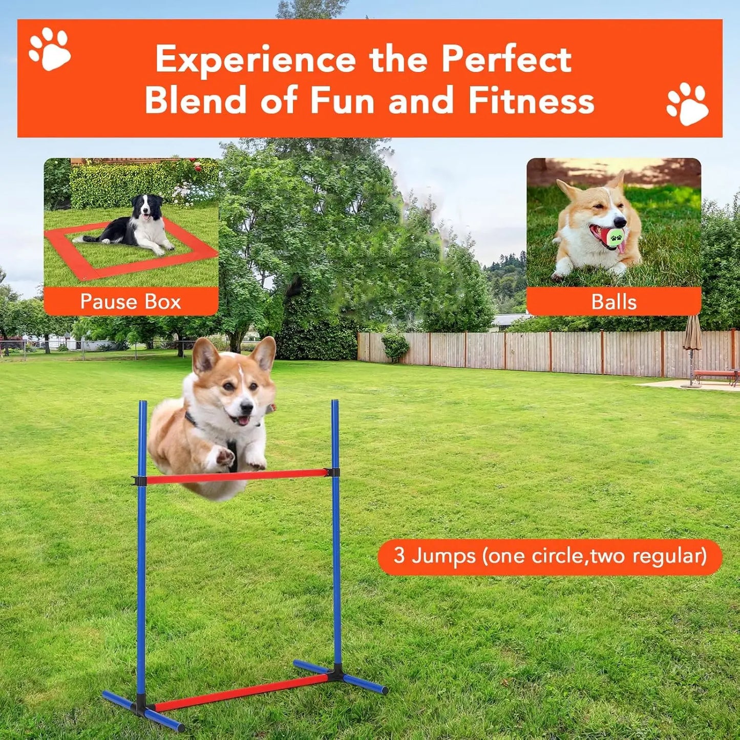 HiMISSH 87 Piece Dog Agility Training Kit With Tunnel Poles