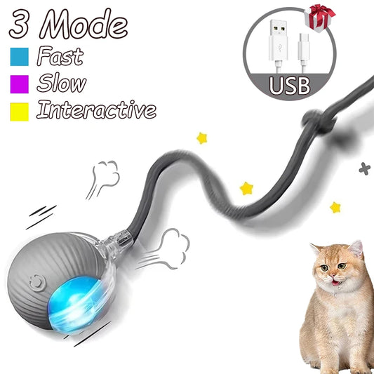 2 Pack Cat Interactive Rolling Ball Toy Rechargeable Imitates Mouse