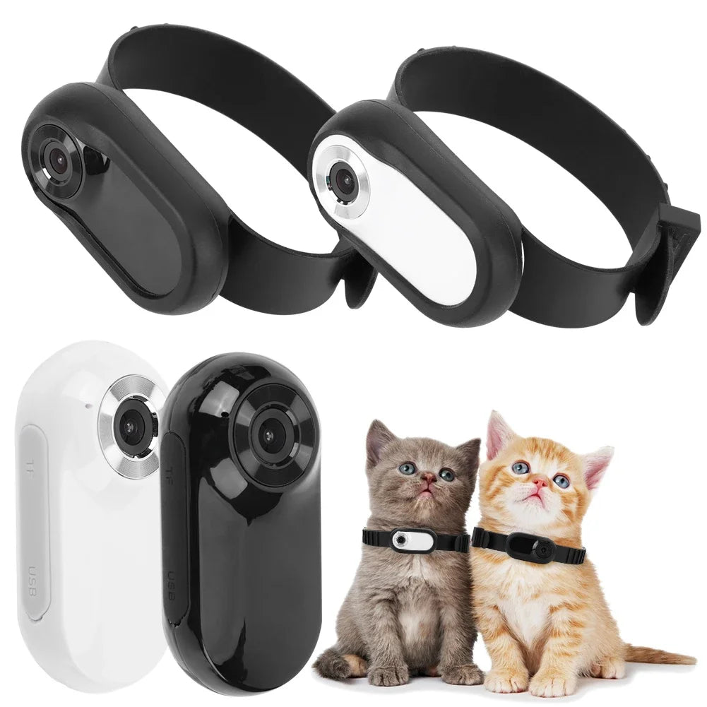 Shunmaii HD 1080P Wireless Dog Collar Camera No WiFi