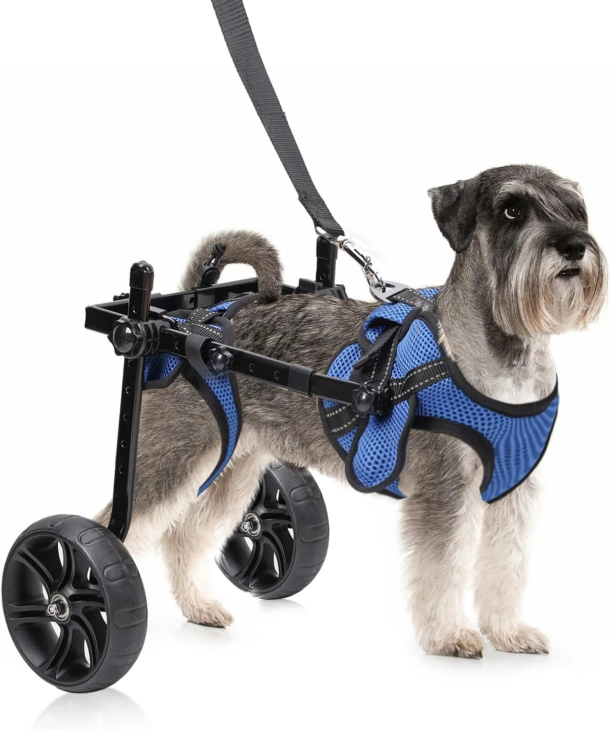 Dog Wheelchair For Back Legs With All Terrain Tires