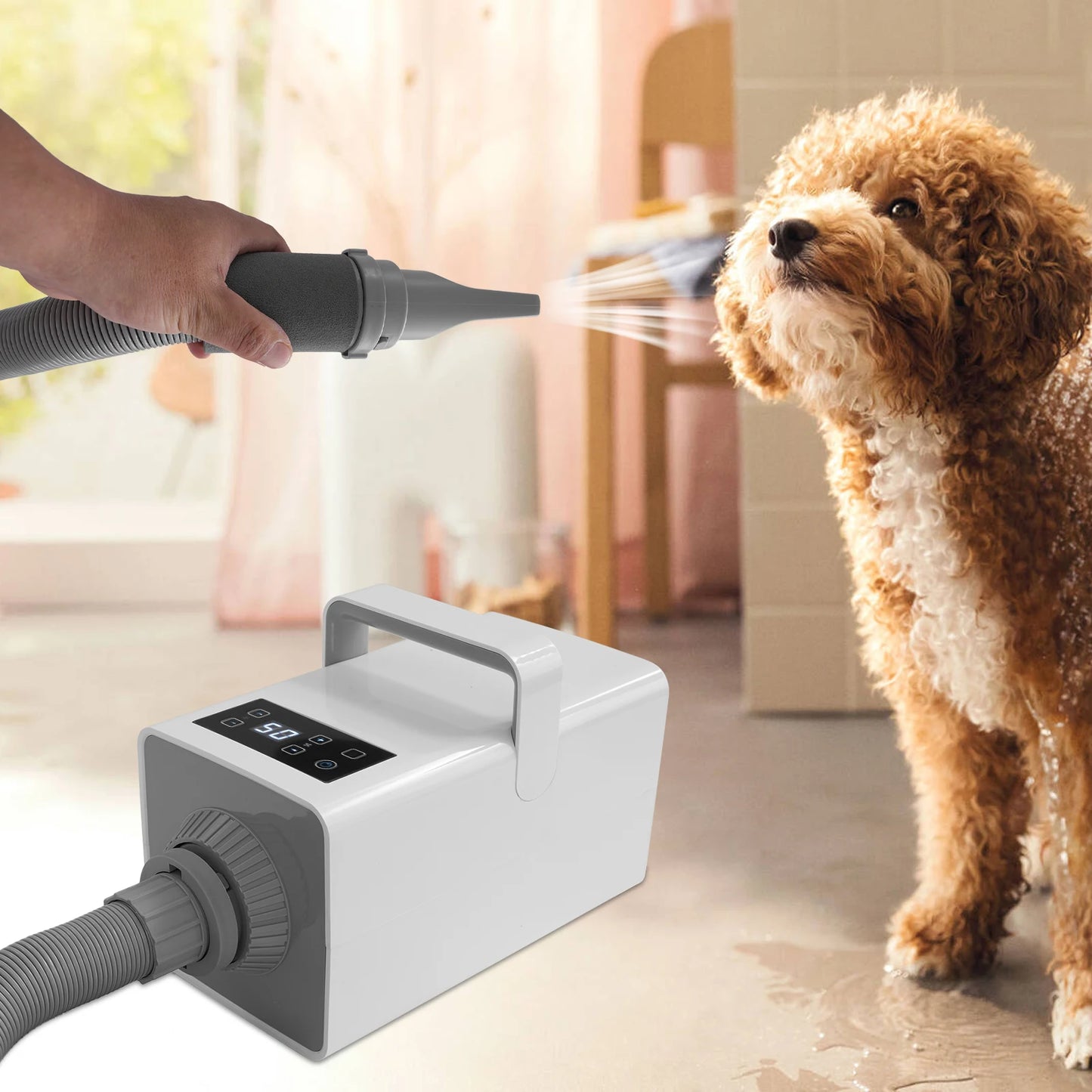 110V Pet Grooming Dryer 2200W Adjustable LCD Blower For Cats