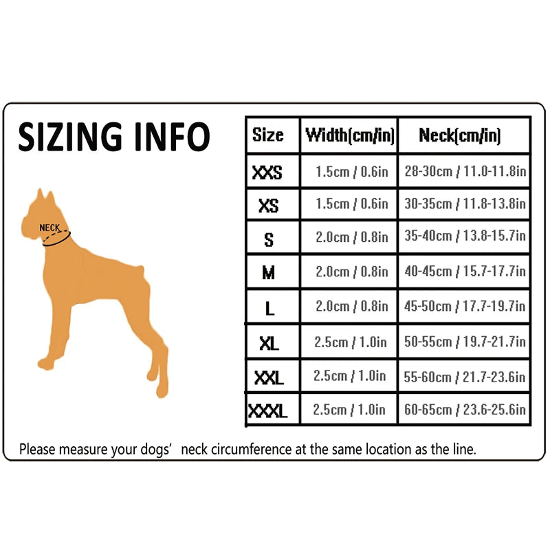 Winhyepet Padded Nylon Dog Walking Collar With Buckle