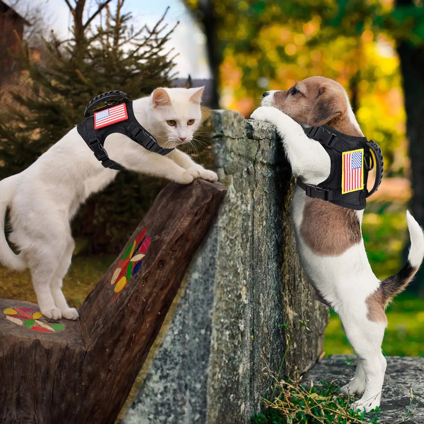 PETRAVELCN Tactical Puppy Harness Leash Set For Dogs